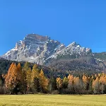 Petit דירה Villanova (Belluno)