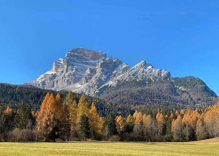 Petit Apartment Villanova (Belluno)